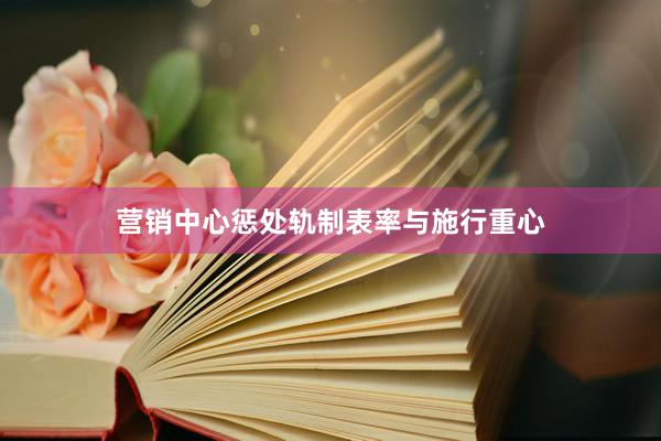 营销中心惩处轨制表率与施行重心